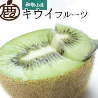［先行予約］厳選 キウイ1kg+250g（傷み補償分）【扁平果】［IKE106］