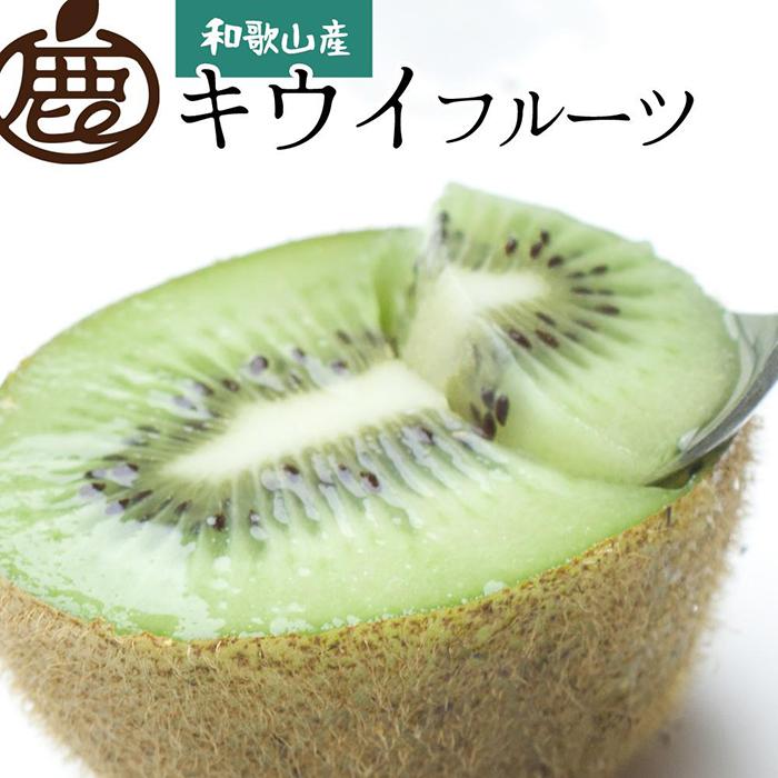 ［先行予約］厳選 キウイ5kg+250g（傷み補償分）【扁平果】［IKE108］