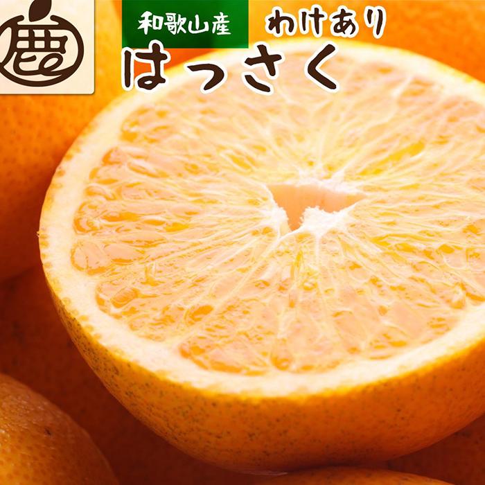 ［先行予約］家庭用 はっさく2.5kg+250g（傷み補償分）【八朔みかん】【訳あり・わけあり】［IKE28］
