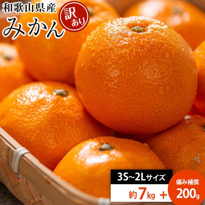 和歌山県産 糖度9.5度 以上 訳あり みかん 7kg 傷み補償+200g 3S ~ 2Lサイズ混合【MG58】