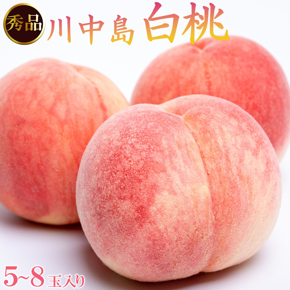 和歌山県産 川中島白桃 5～8玉入り 秀品 先行予約［2026年7月下旬以降発送］［MG7］