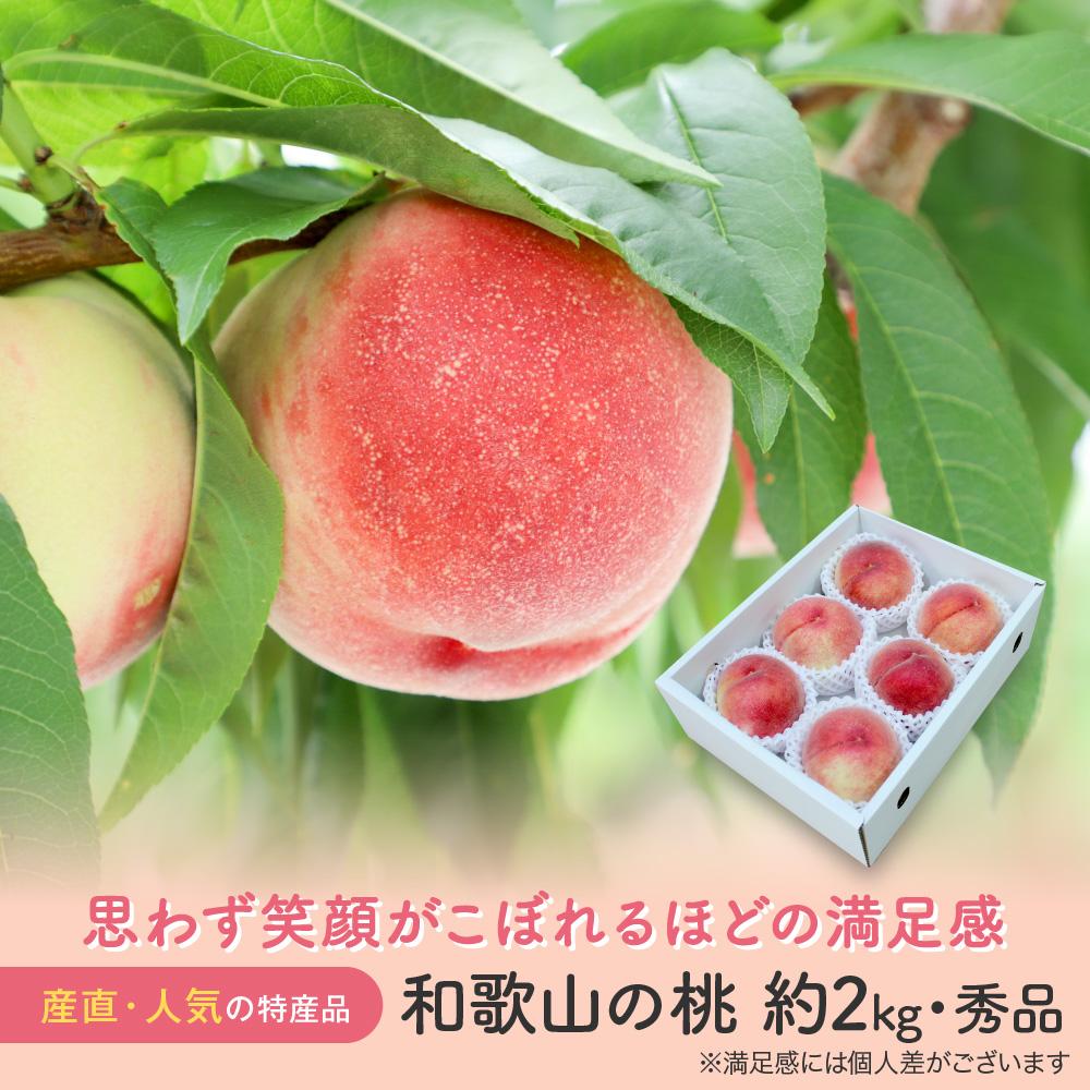［産直・人気の特産品］和歌山の桃　約2kg・秀選品★2026年6月下旬～8月中旬頃順次発送★［TM167］