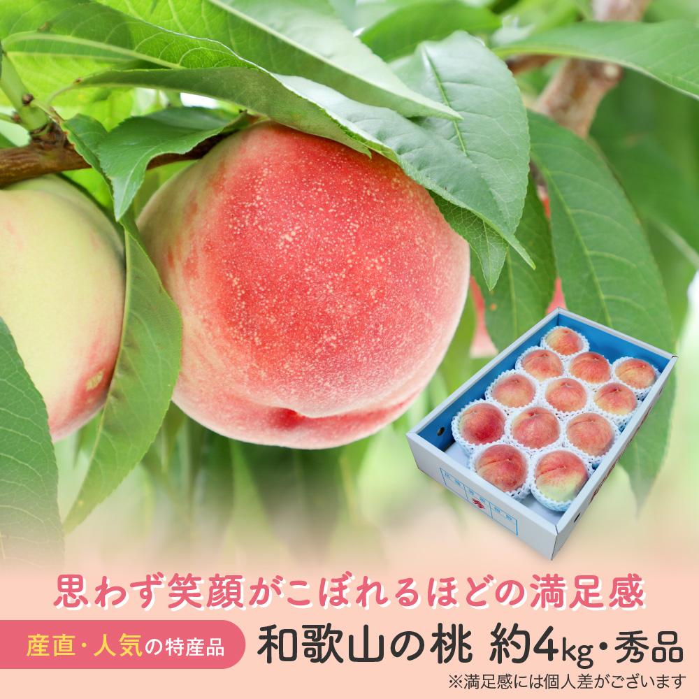 【産直・人気の特産品】和歌山の桃　約4kg・秀選品★2026年6月下旬～8月中旬頃順次発送★【TM168】