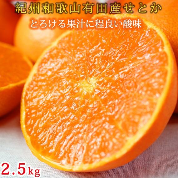 紀州有田産せとか約2.5kg　とろける食感！ジューシー柑橘【2026年2月上旬以降発送】【先行予約】【UT02】