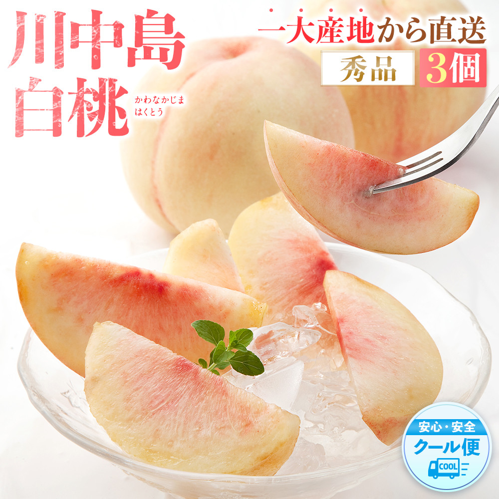 ［秀品］川中島白桃 食べきりやすい3個入り［2026年7月末頃から順次発送］こだわり 農家厳選 先行予約 モモ［KG16］