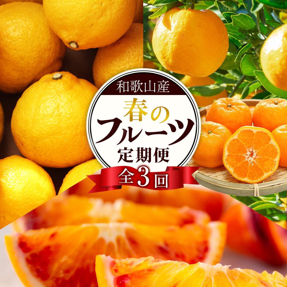 定期便全3回 【2月・3月・4月発送】 和歌山の春の柑橘 (ポンカン・はるか・ブラッドオレンジ)秀品【TM173】