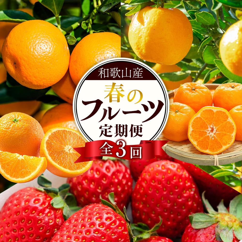定期便全3回 【2月・3月・4月発送】 和歌山の春のフルーツ (ポンカン・清見オレンジ・まりひめ)【TM174】