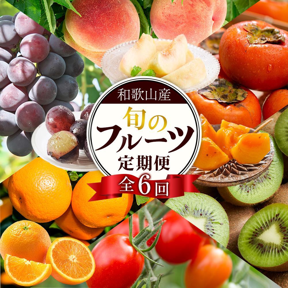 和歌山の旬の果実を 奇数月にお届け全6回定期便(キウイ・清見オレンジ・ミニトマト・桃・ピオーネ・富有柿)【TM62】