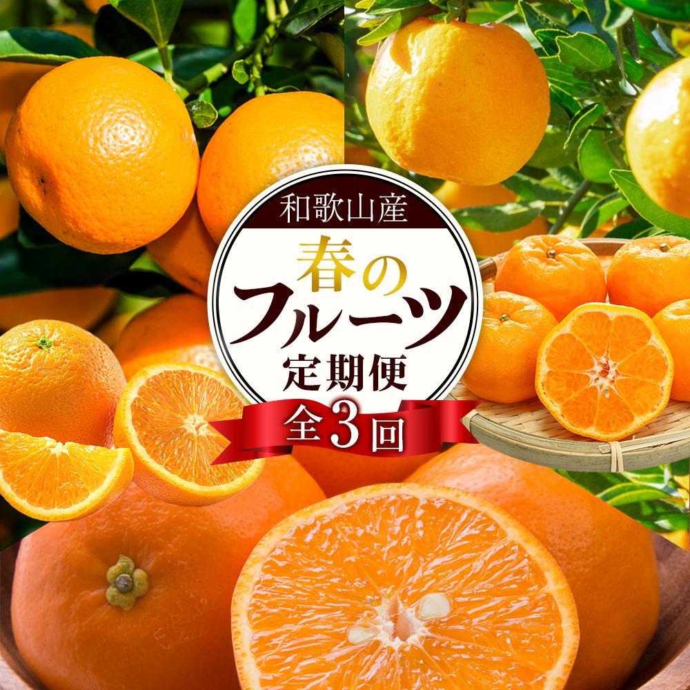 和歌山の春のフルーツ(ポンカン・清見オレンジ・セミノールオレンジ)定期便 全3回 【2月・3月・4月発送】【TM184】