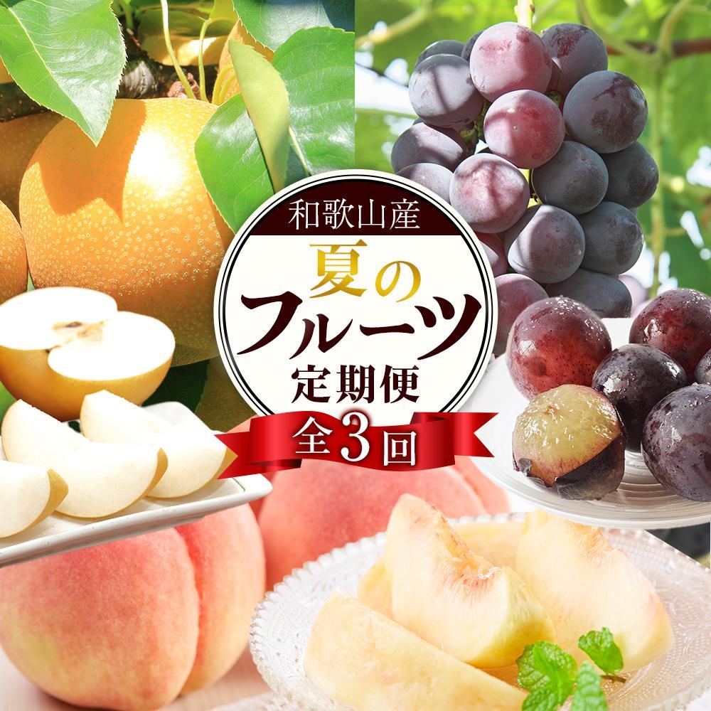 定期便全3回 【7月・8月・9月発送】 和歌山の夏のフルーツをお届け(桃・梨・たねなしピオーネ)【TM179】