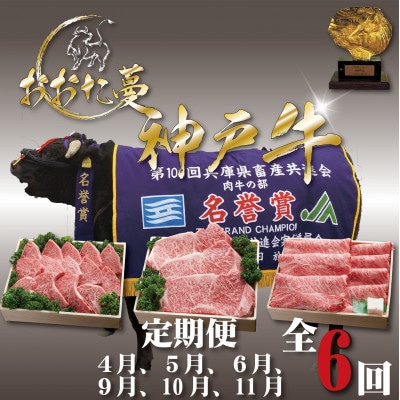 【発送月固定定期便】A5 おおた蔓 神戸牛(神戸ビーフ) それは選ばれし希少な一頭全6回【配送不可地域:離島】【4067236】