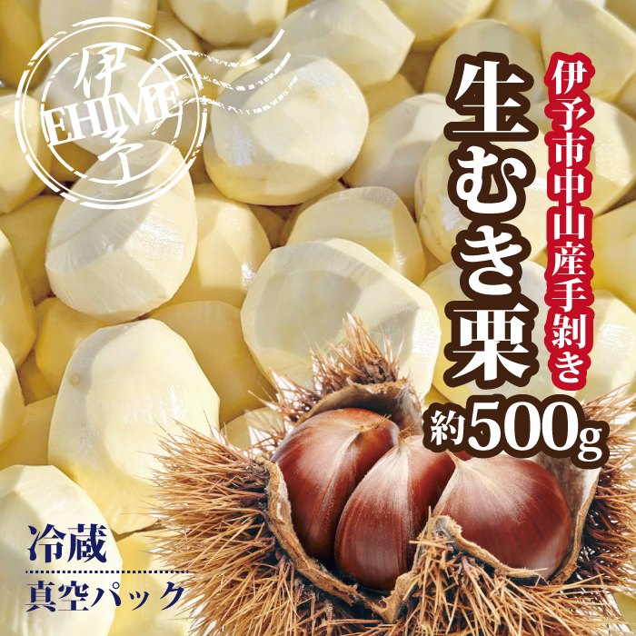 栗 むき栗 約500g 旧中山町産  数量限定 生栗 濃厚な甘み ホクホク 焼き栗 栗ごはん 伊予市 愛媛県 | B468