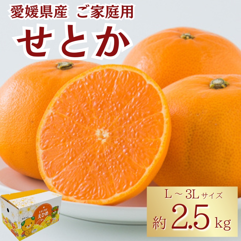 みかん 愛媛 せとか(約2.5kg)L~3Lサイズ ご家庭用 バラ詰め 【2月中旬から順次発送予定】 人気 数量限定 先行予約 みきゃん箱 柑橘 伊予市|B192
