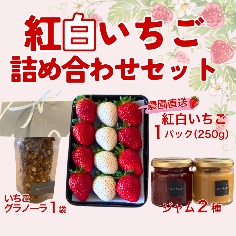 イチゴジャム 無添加 紅白いちご ミルクジャム グラノーラ 数量限定 農園直送 くぼなか農園 愛媛 人気 伊予市｜B210