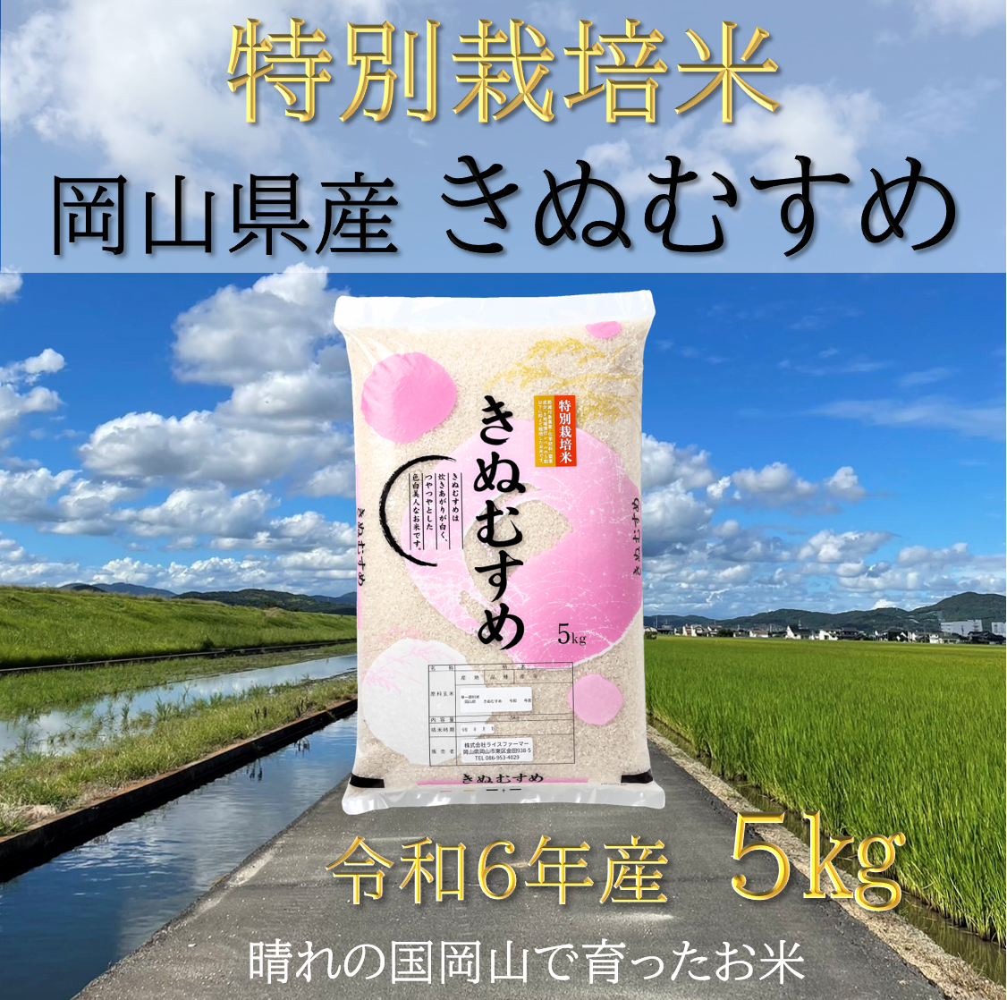 SS-128[お米 特別栽培米 特Aランク]岡山県産「きぬむすめ」5kg(令和6年産)