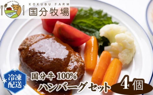 [国産牛]国分牛100%ハンバーグ 4個セット ソースは牧場お任せ!