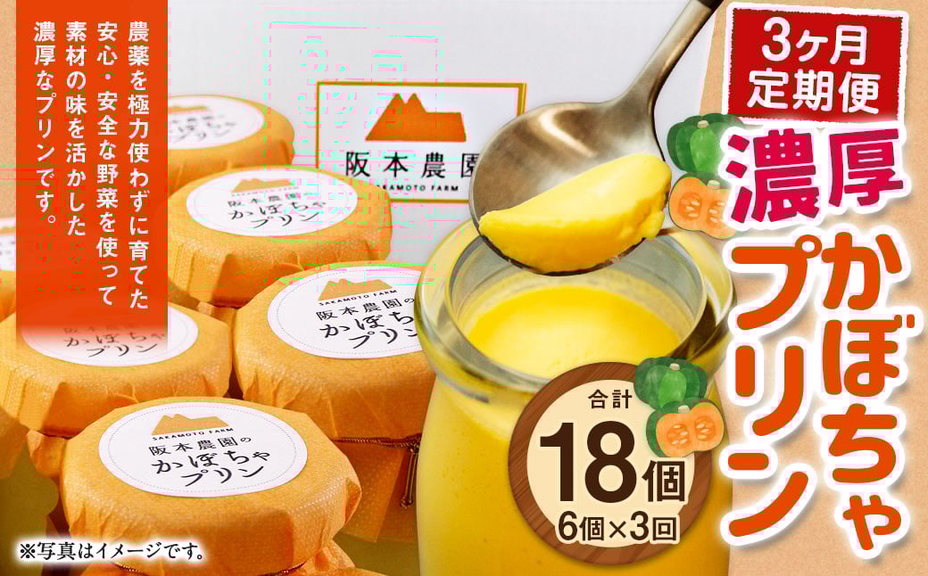 【 3ヶ月 定期便 】 濃厚 かぼちゃプリン 6個入り 6個×3回 計18個 / スイーツ おやつ デザート 洋菓子 カボチャ 南瓜 パンプキン 冷凍