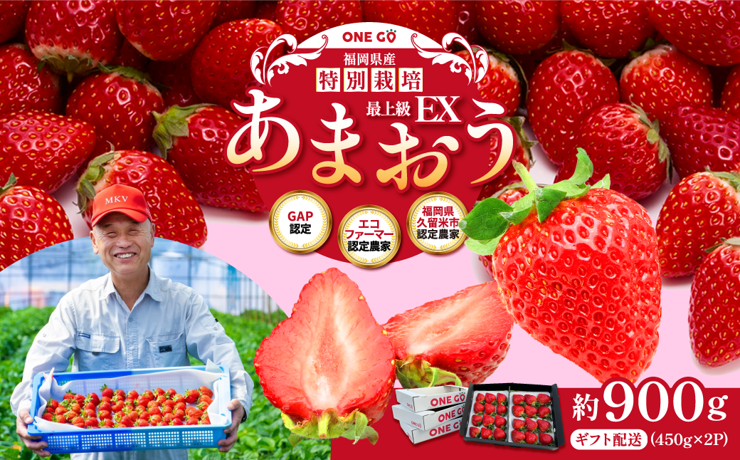 ギフト配送 約450g×2パック 計900g EX 福岡県産 あまおう 特別栽培【2026年1月上旬から3月下旬発送予定】 いちご 苺 イチゴ ベリー 果物 フルーツ お取り寄せ デザート おやつ