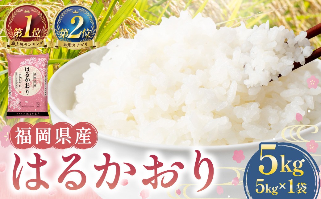 【令和7年産】 はるかおり 精米 5kg 米 こめ コメ お米 ライス 白米 国産 国産米 福岡県産 福岡県 香春町 常温