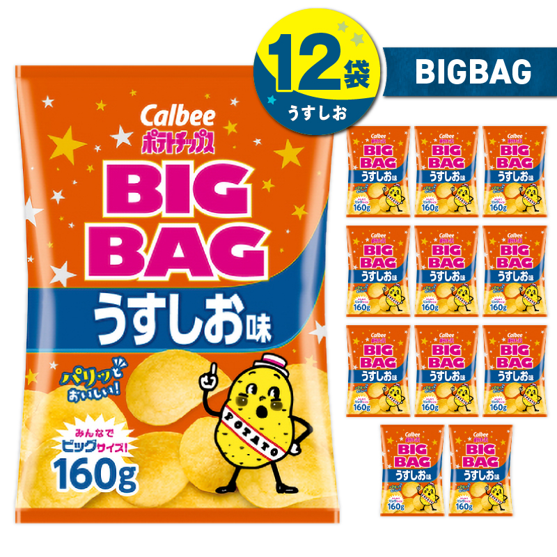 カルビー ポテトチップス BIGBAG【うすしお】12袋 K194-002_04