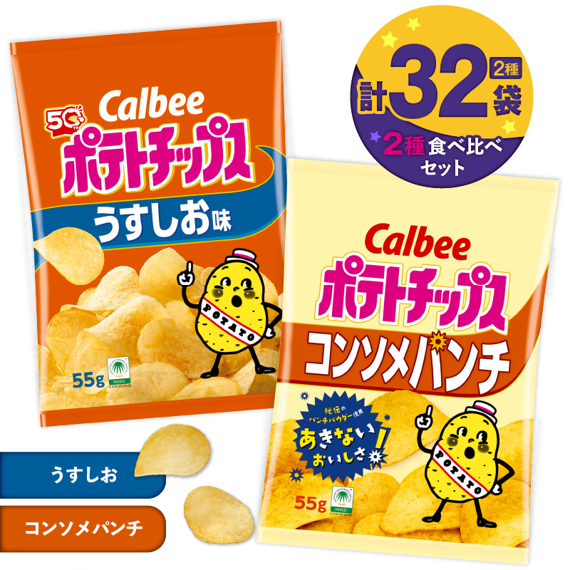 カルビー ポテトチップス 2種食べ比べセット【うすしお×コンソメパンチ】計32袋 K194-002_09