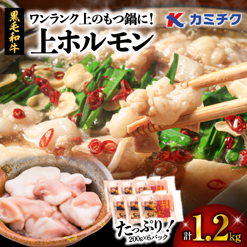 ワンランク上のもつ鍋に!小腸1.2kg(ホルモン) K002-004