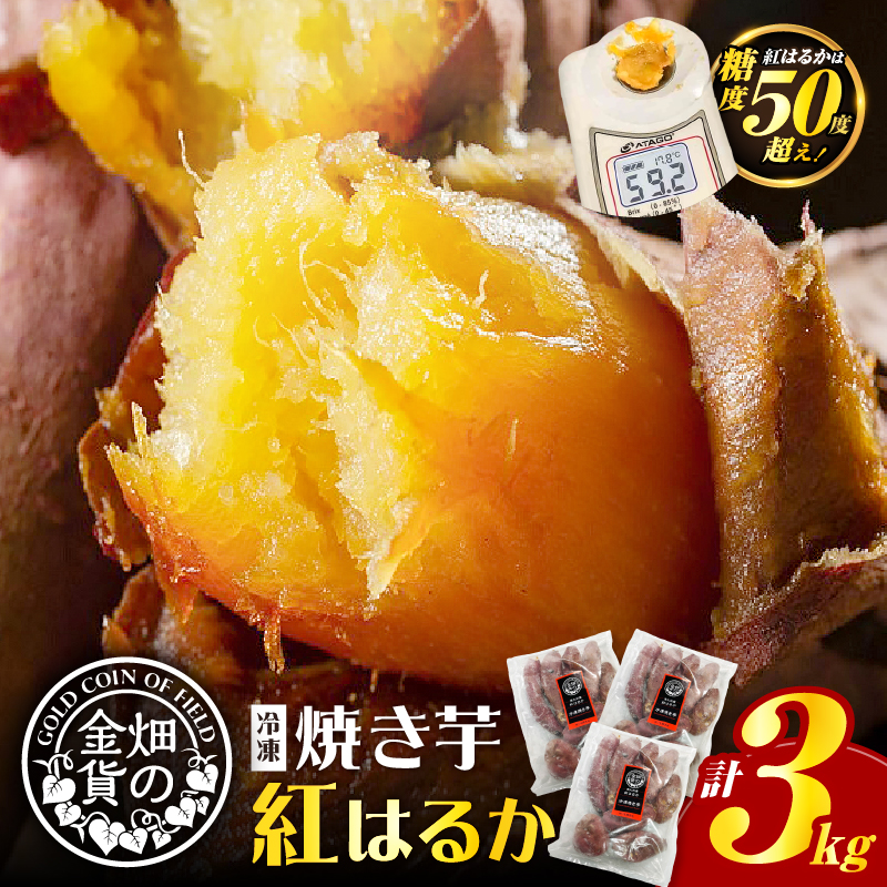 畑の金貨 焼き芋紅はるか 3kg K181-001_01