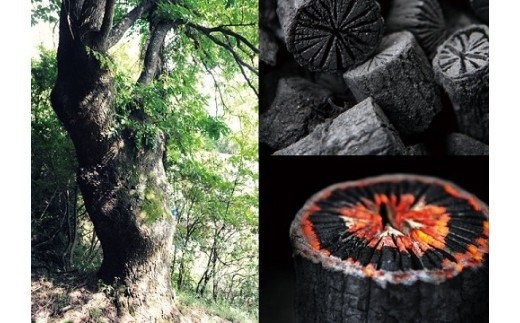 菊炭（茶道用 飾り炭）