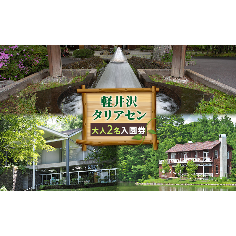 軽井沢タリアセン 大人2名 入園券 チケット 入場券 優待券 塩沢湖 美術館 レストラン 買い物 ショップ リゾート 自然 リラックス