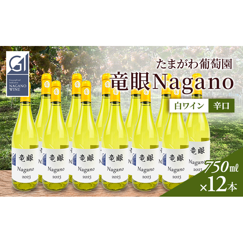 ワイン　竜眼Nagano　【GI長野】認定　12本セット 長野市 白ワイン