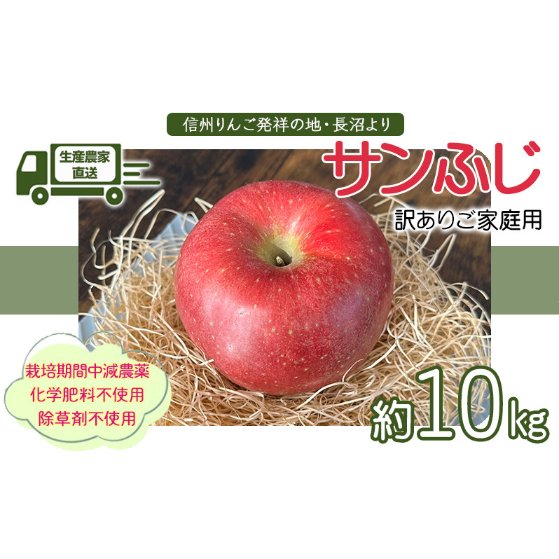 生産農家直送 信州りんご発祥の地・長沼産 長沼りんご サンふじ(ご家庭用) 約10kg サイズミックス 長野県産 栽培期間中化学肥料不使用 除草剤不使用 人にやさしく環境にもやさしい