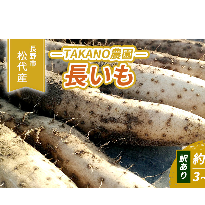 先行予約 長野市松代産 TAKANO農園 長いも 約5kg(訳あり)【3~10本】 野菜 根菜 長野県産 ネバネバ シャキシャキ とろろご飯 具材 食材 国産