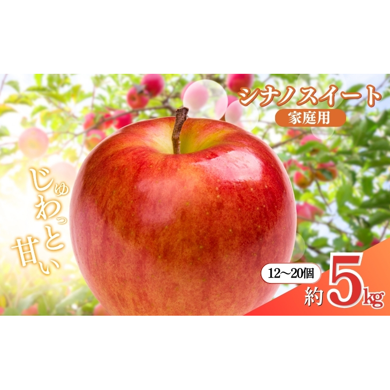 先行予約 長野市産シナノスイート家庭用 約5kg 2025年10月中旬～11月中旬発送 ※オンライン決済限定 果物 フルーツ デザート 食後 おやつ 長野県産 信州 甘い 交配品種 酸味が少ない りんご 