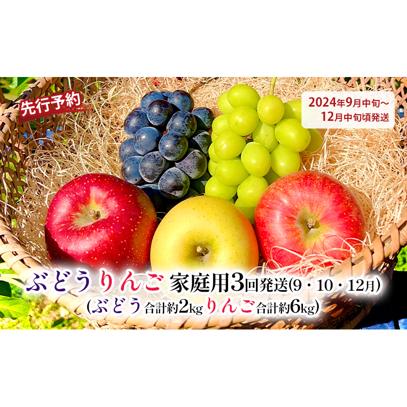 先行予約 ぶどうりんご家庭用3回発送（9・10・12月）（ぶどう合計約2kgりんご合計約6kg）2024年発送 長野県長野市 JRE  MALLふるさと納税