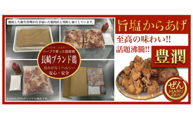 長崎ブランド鶏 唐揚げ セット 500g×2 計1kg 甘酢たれ付き