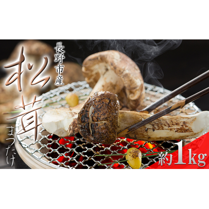 長野市収穫　松茸　約1kg（8～15本） 野菜 きのこ まつたけ 