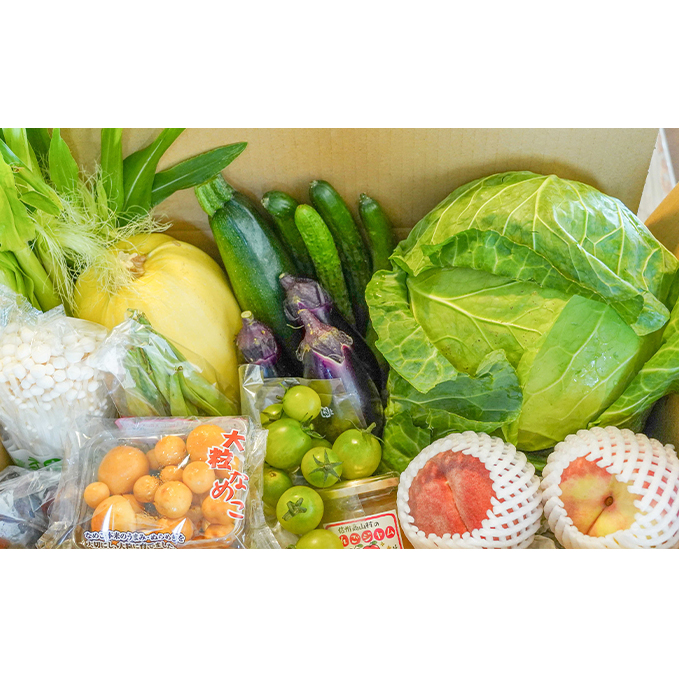 信州盛りだくさん野菜セット(2)※配送不可地域あり 詰合せ 