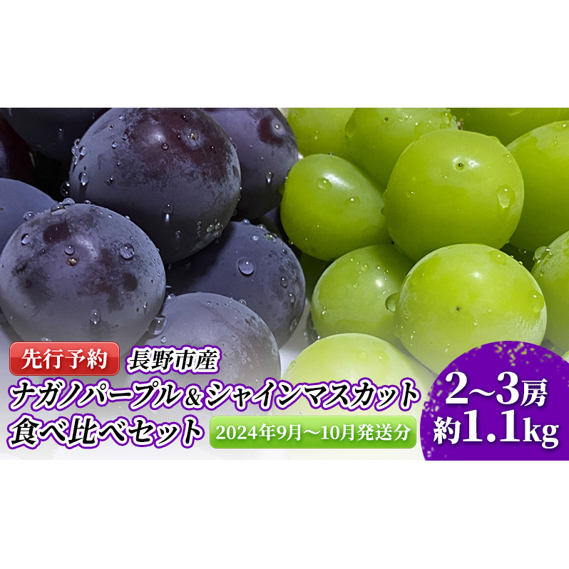 ぶどう 先行予約 長野市産 ナガノパープル ＆ シャインマスカット 食べ比べ セット 2～3房 約1.1kg 詰め合わせ シャイン マスカット ブドウ  葡萄 フルーツ 果物 巨峰 デザート 信州 2024年秋発送 | 長野県長野市 | JRE MALLふるさと納税