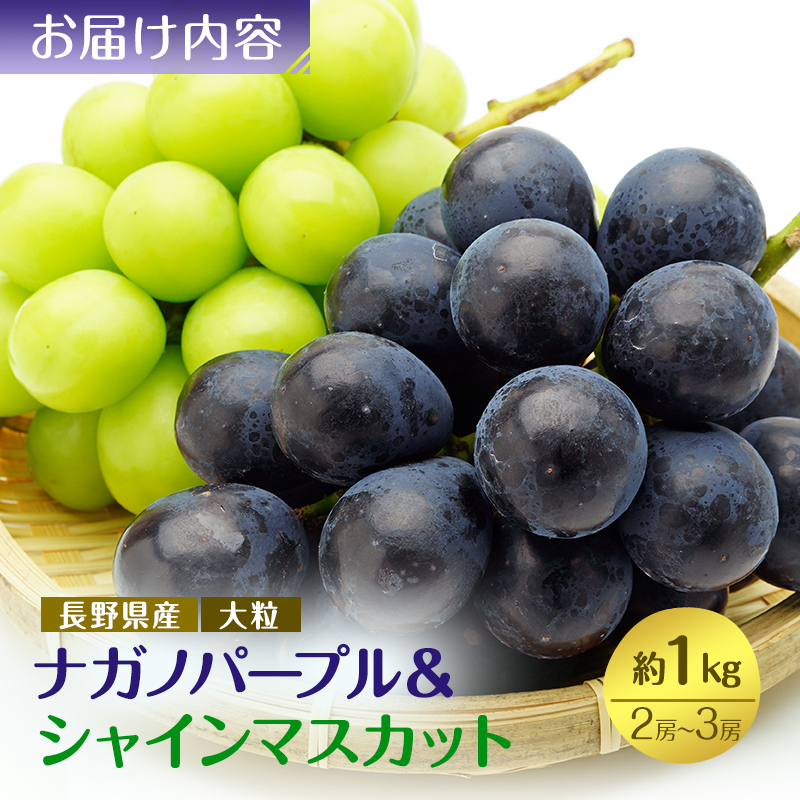 かにや★ナガノパープル10〜11房約5kg シャインマスカット600g2房 長野県産 最上級 秀品 大房 シャインマスカット＆ナガノパープル