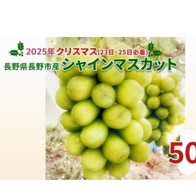 【2025クリスマス（23日～25日必着）】長野県長野市産シャインマスカット500g 果物 ぶどう フルーツ デザート おやつ 食後 信州のぶどう 長野県産 高級ぶどう 