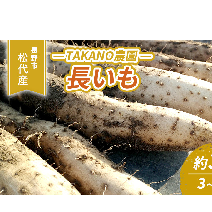 先行予約 長野市松代産 TAKANO農園 長いも 約3kg【3~5本】 野菜 根菜 長野県産 ネバネバ シャキシャキ とろろご飯 具材 食材 国産