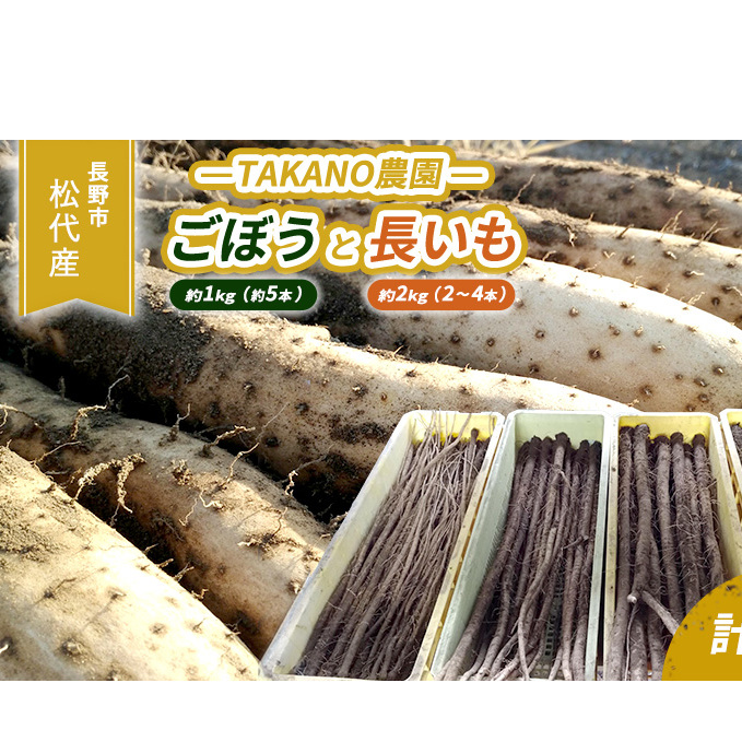 先行予約 長野市松代産 TAKANO農園 ごぼう(約1kg)【約5本】と長いも(約2kg)【2~4本】計3kg 野菜 根菜 長野県産 ネバネバ シャキシャキ とろろご飯 具材 食材 国産