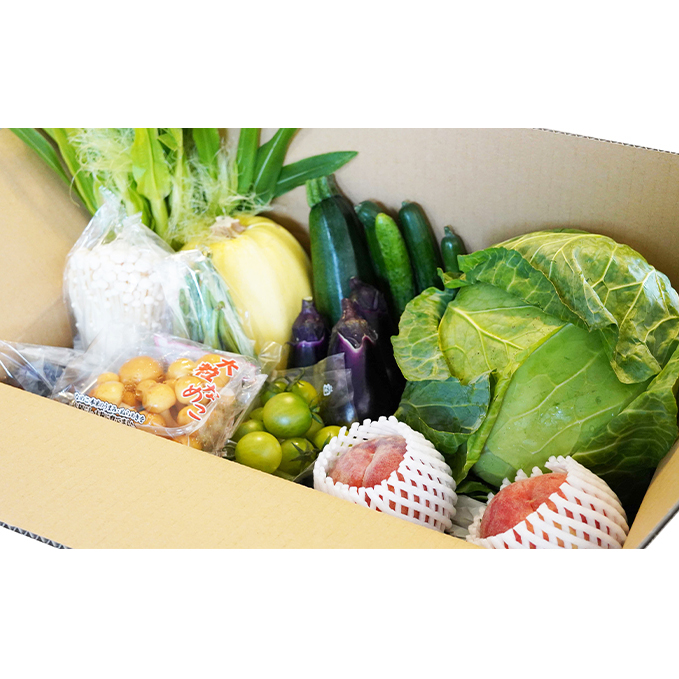 信州盛りだくさん野菜セット(1)※配送不可地域あり 詰合せ 