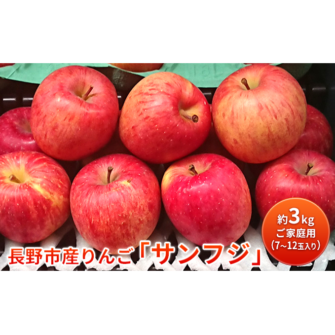 長野市産りんご「サンフジ」約3kg ご家庭用(7~12玉入り)※配送不可地域あり 果物類 林檎 リンゴ ギフト ふじ