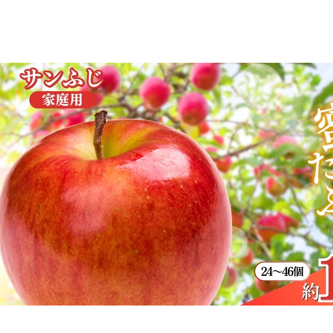 先行予約 長野市産サンふじ家庭用 約10kg 2025年12月～2026年3月発送　※オンライン決済限定 果物 フルーツ デザート 食後 おやつ 長野県産 信州 りんご 代表品種 濃厚 