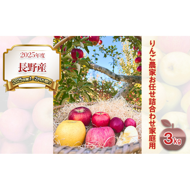 2024年度 長野産（2025年度1～2月お届け）りんご農家お任せ詰合わせ家庭用3kg 果物 フルーツ デザート 食後 濃密 