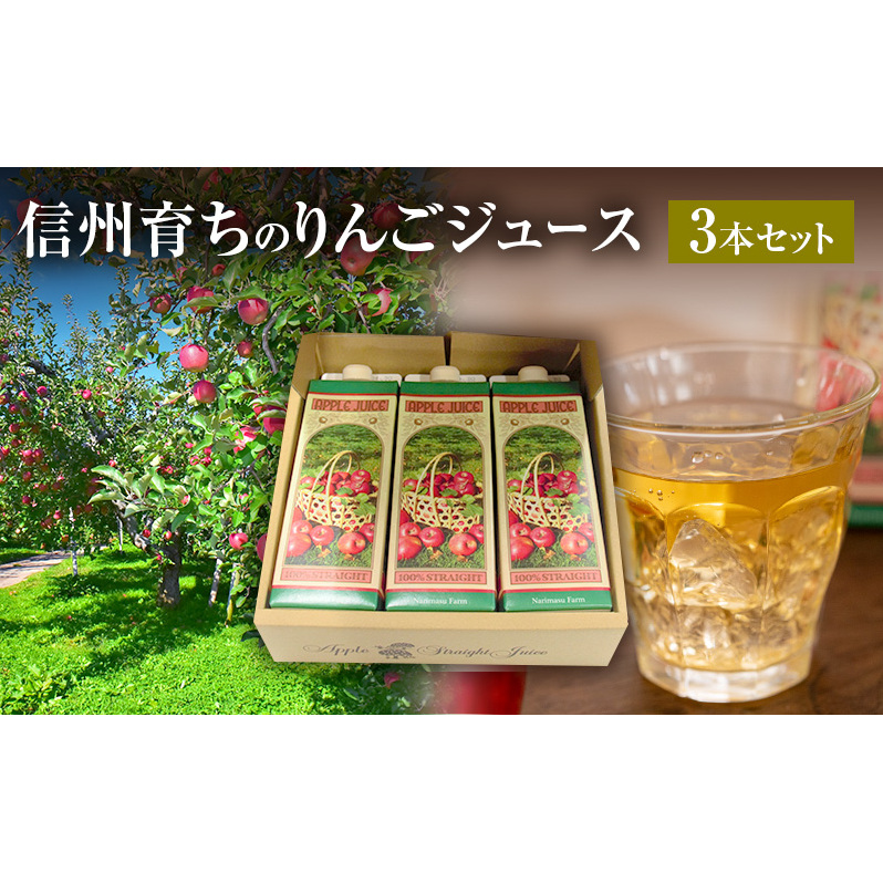 信州育ちのりんごジュース 3本詰 果実飲料 飲料類 飲み物 フルーツジュース アップルジュース 長野市産りんご りんご100％ ストレートジュース コク 