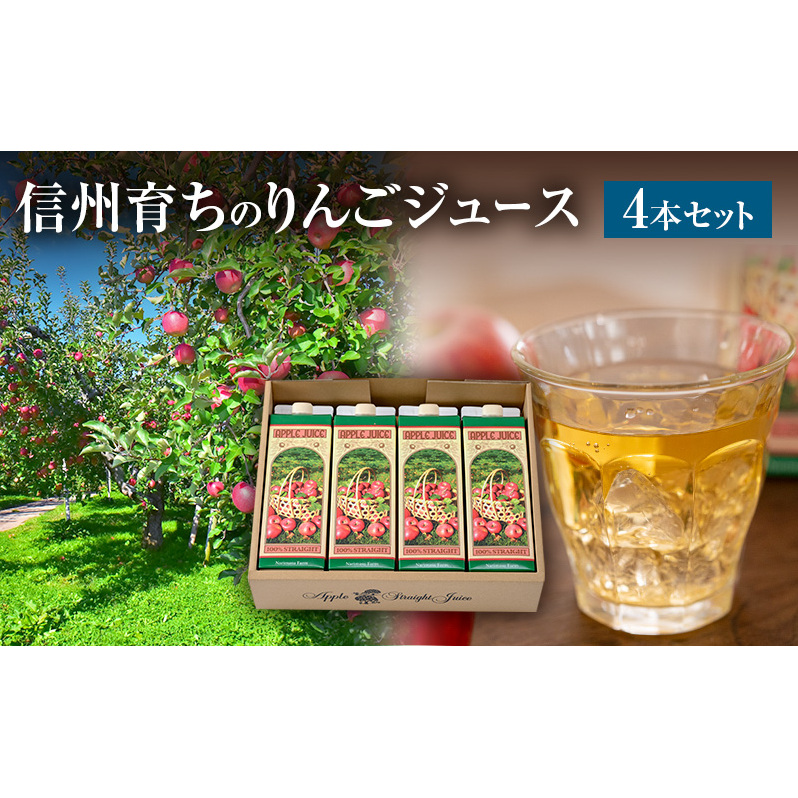 信州育ちのりんごジュース 4本詰 果実飲料 飲料類 飲み物 フルーツジュース アップルジュース 長野市産りんご りんご100％ ストレートジュース コク 