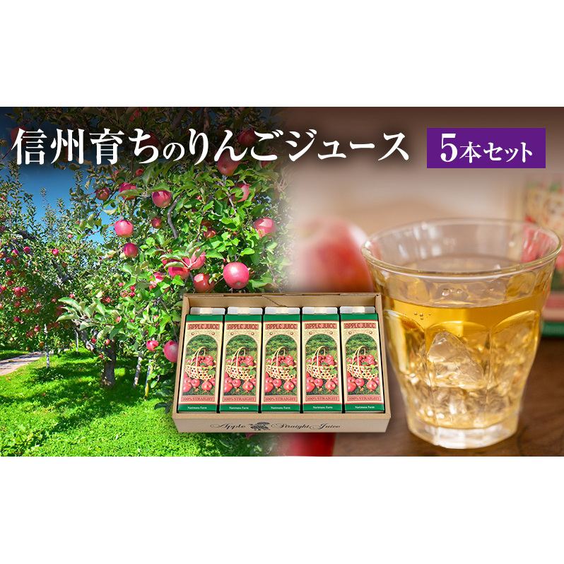 信州育ちのりんごジュース 5本詰 果実飲料 飲料類 飲み物 フルーツジュース アップルジュース 長野市産りんご りんご100％ ストレートジュース コク 