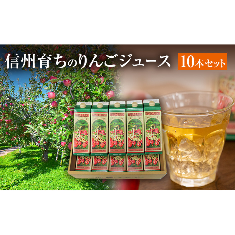 信州育ちのりんごジュース 10本詰 果実飲料 飲料類 飲み物 フルーツジュース アップルジュース 長野市産りんご りんご100％ ストレートジュース コク 